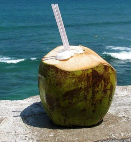 Coco/Coconut